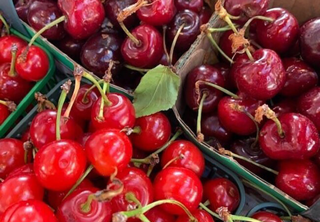 St. Catharines' Farmers Market